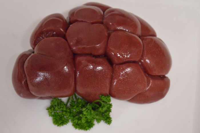 Kidneys